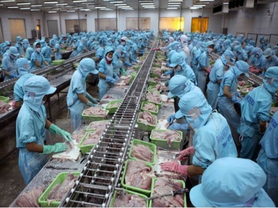 Tra fish exports to UK market enjoy surge