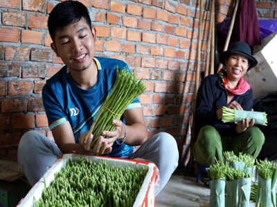 Young farmer succeeds with growing organic asparagus