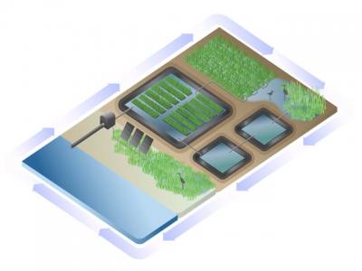 Một giải pháp mặn cho nuôi trồng thủy sản và nông nghiệp