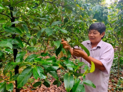 Support Fund for Farmers upholds efficiency