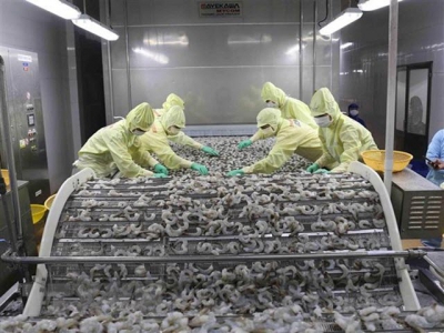Vietnams shrimp export rises slightly in 9 months