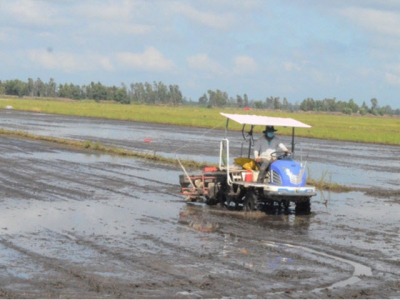 Tăng hiệu quả quản lý nước trong canh tác lúa, giảm giá thành ở ĐBSCL