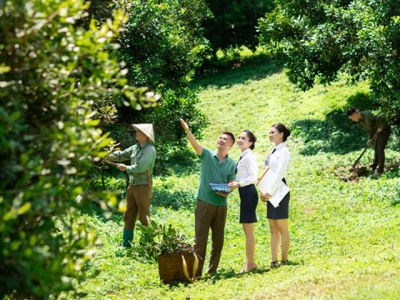Investing in agriculture - a link to promote economic recovery