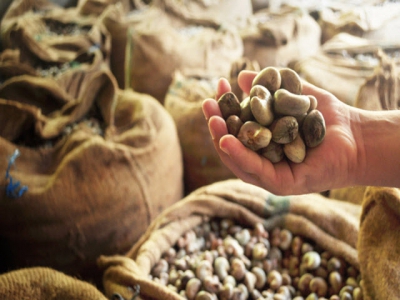 Imports of raw cashew nut decreases in 2 continuous months