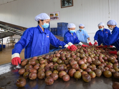 Conquer the European fruits and vegetables market