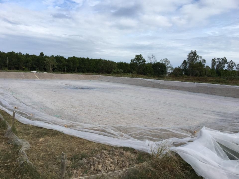 Shrimp Pond Bottom Netting