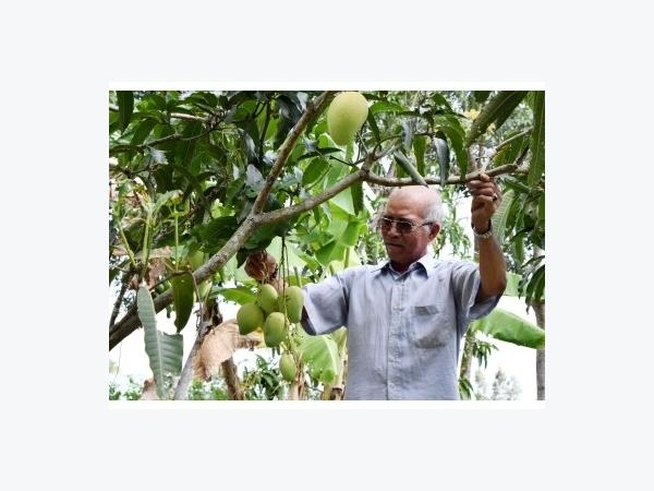 Nông thôn no ấm, vững bền