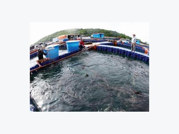 Công nghệ cao - Giải bài toán biến đổi khí hậu
