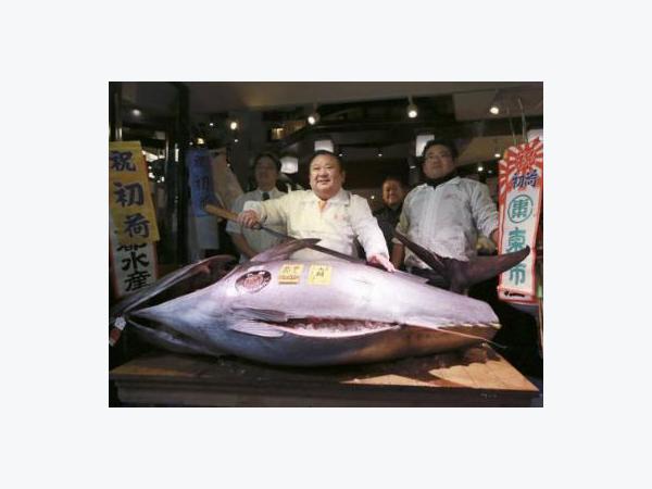Cá ngừ 212 kg giá hơn 14 tỉ đồng