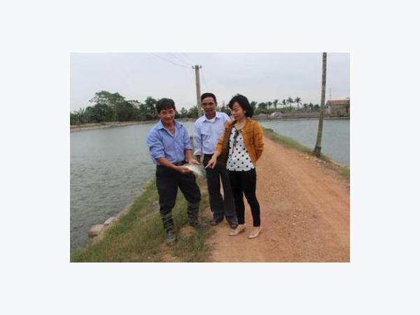 Nuôi cá khép kín, lãi 300 triệu đồng/năm