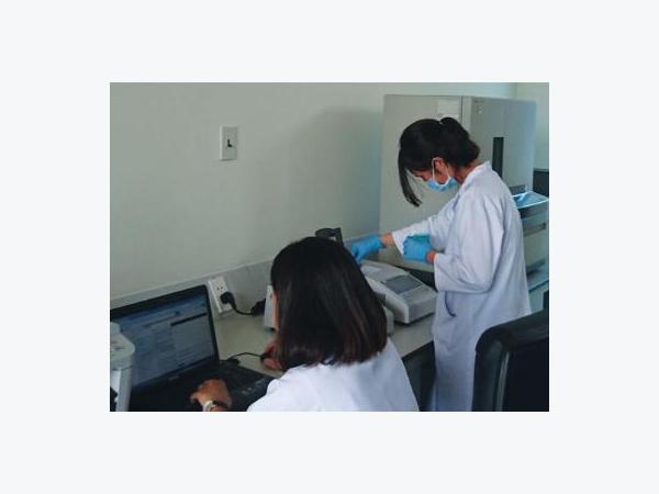 LAMP PCR: Xét nghiệm bệnh tôm nhanh, đơn giản
