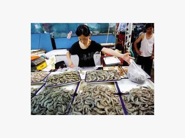 Giá tôm nguyên liệu vẫn sẽ cao