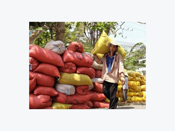 Loay hoay xác định nông sản chủ lực: Mỗi tỉnh chọn một “món”