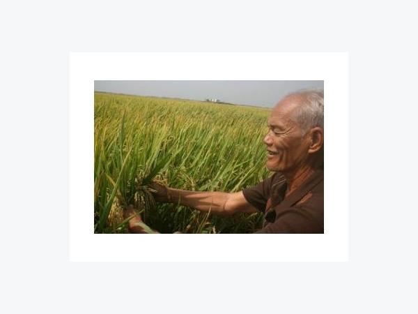 Sẽ Sớm Ban Hành Chế Tài Xử Lý DN