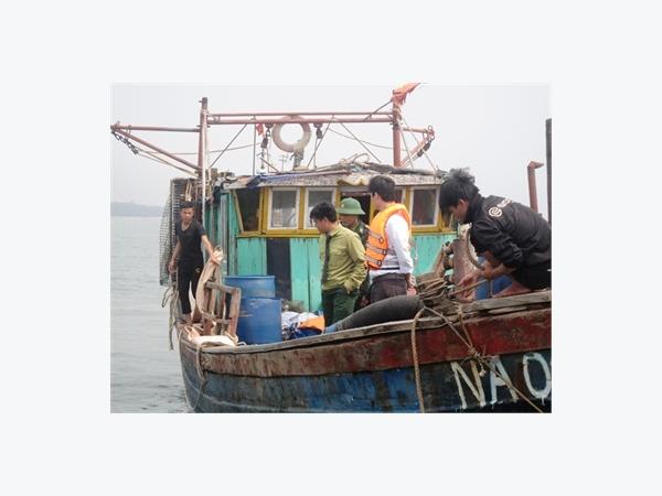Thanh Hóa Bắt Giữ 3 Tàu Đánh Bắt Cá Trái Phép