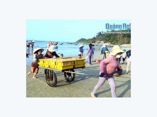Đánh bắt đầu năm gần bờ trúng mùa, xa bờ lỗ tổn