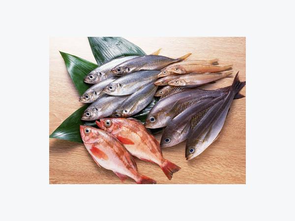 Giá mặt hàng thủy sản tại Đà Nẵng 15-01-2016