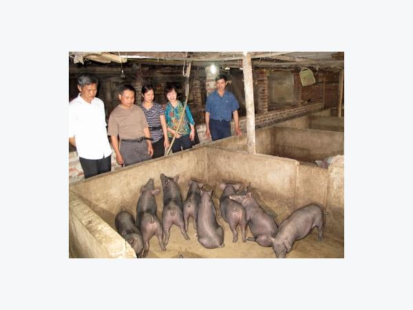 20 năm thành lập Quỹ Hỗ trợ nông dân năng lượng của vốn
