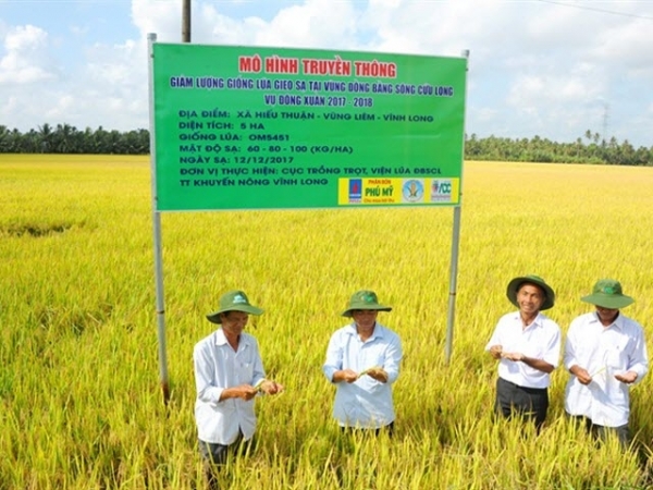 Giảm giống gieo sạ tăng hiệu quả kinh tế