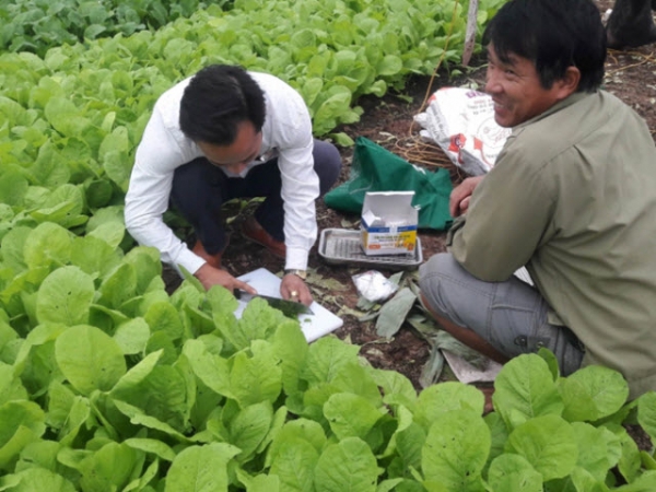 Khắc phục yếu tố dinh dưỡng hạn chế tăng sức khỏe đất trồng
