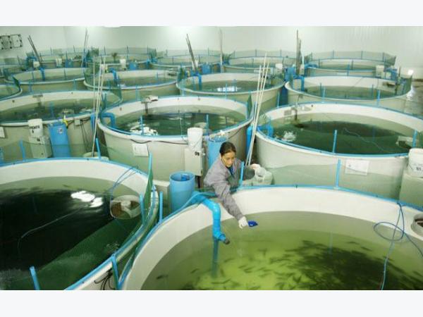 Những thách thức của công nghệ ras