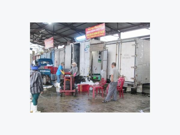 Quảng Bình cần gỡ khó cho doanh nghiệp thu mua cá