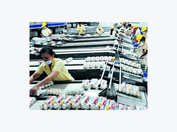 Trứng sạch Ba Huân tiếp cận thị trường Hà Nội