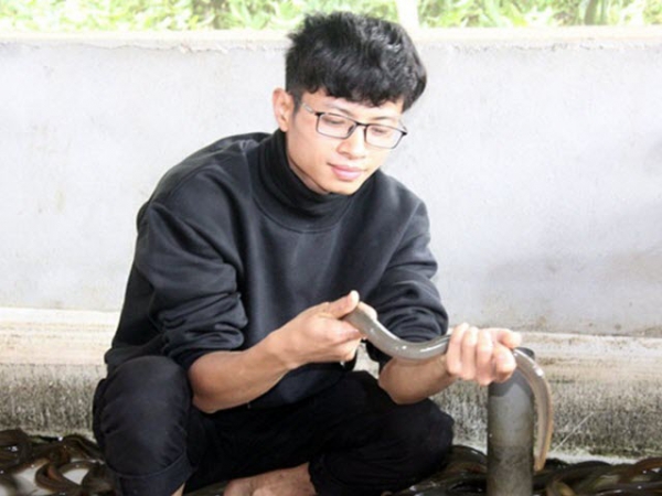 Nuôi lươn không bùn, lãi chục triệu đồng mỗi tháng