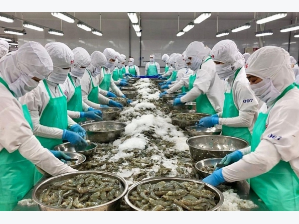 Ngành tôm cần đẩy mạnh sản xuất hàng giá trị gia tăng