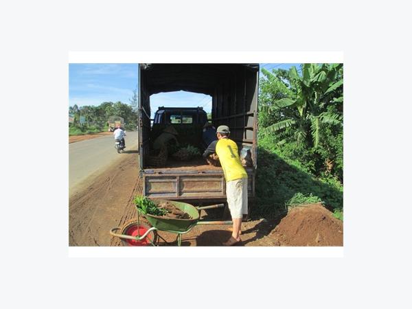 Mùa Trồng Mới Chú Ý Chất Lượng Cây Giống