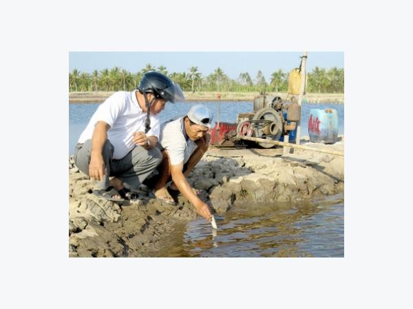 Bà Rịa Vũng Tàu chủ động phòng chống bệnh cho tôm nuôi mùa nắng nóng