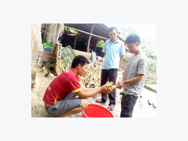 Hỗ trợ vốn cho nông dân có ý chí vượt nghèo
