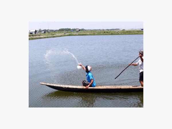 Tôm, cua chết hàng loạt ở thừa thiên huế hậu họa từ nuôi tự phát, giấu dịch