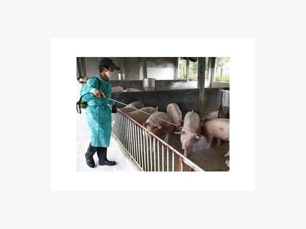 Xuất cấp hóa chất sát trùng cho 2 tỉnh