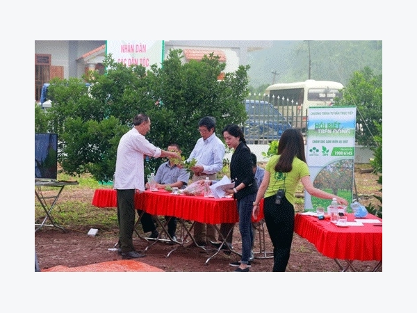 Điều cần biết về chăm sóc, bón phân 4 đúng cho