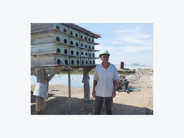 Ông Nguyễn Đức Minh Điển Hình Sản Xuất Giỏi