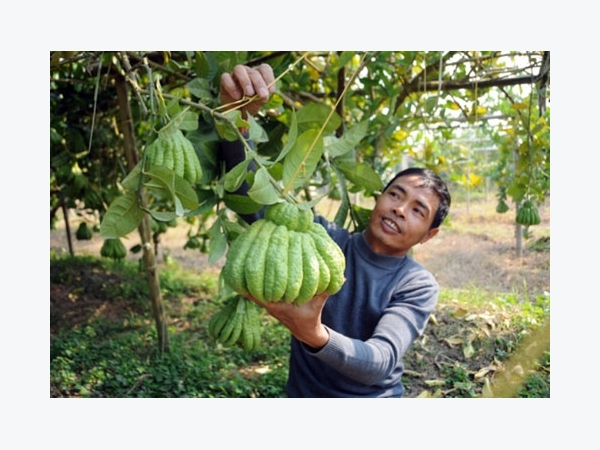 Chưa hài lòng, Hà Nội quyết nâng chất tiêu chí nông thôn mới