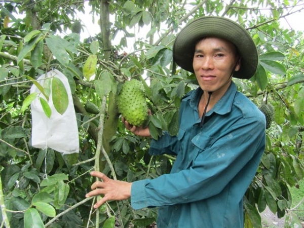 Cho ổi