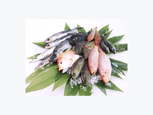 Giá thủy sản tại Khánh Hòa 28-06-2018