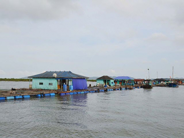 Các xu hướng của nghề nuôi trồng thủy sản ở Châu Á trong năm 2019