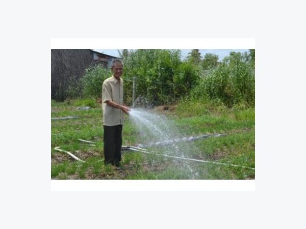 Cần Sử Dụng Thuốc Bảo Vệ Thực Vật Đúng Cách