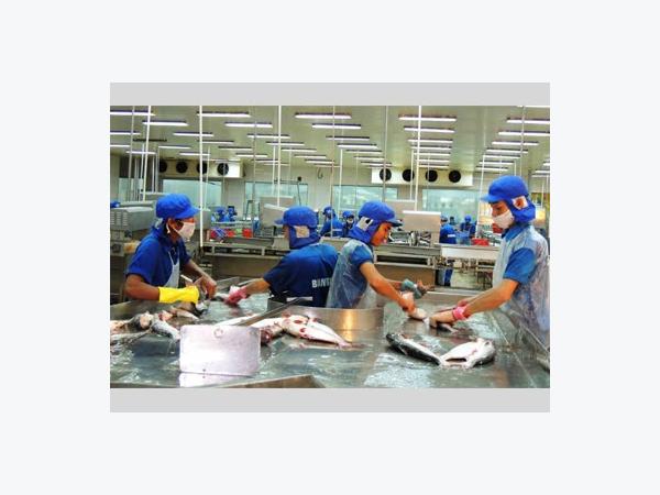 Tìm Giải Pháp Vực Dậy Ngành Cá Tra