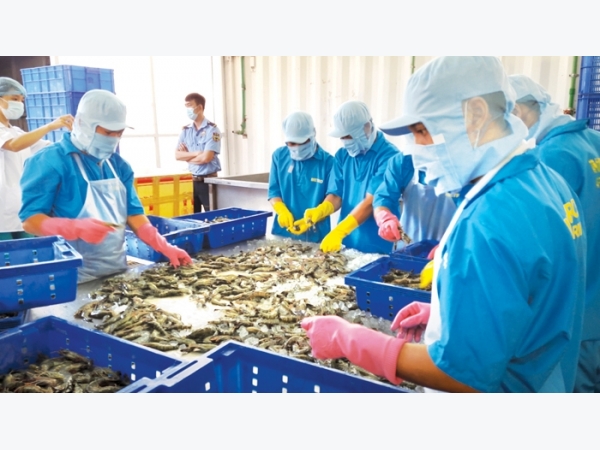 Xuất khẩu thủy sản vào EU: Cơ hội từ cam kết trong EVFTA
