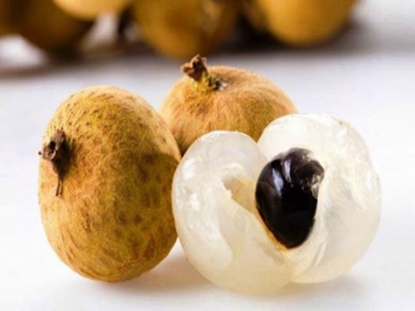 Phát hiện giống nhãn mới, độc đáo với nhiều ưu điểm