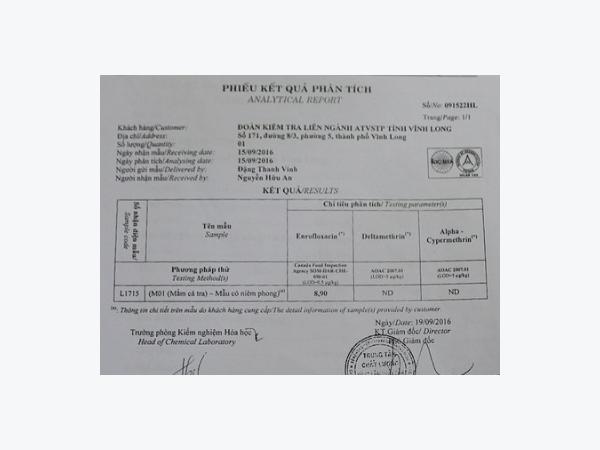 Xử phạt 13 triệu đồng đối với cơ sở sản xuất mắm cá tra có dòi
