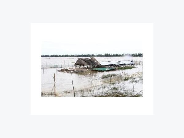 Miền Tây Mùa Nước Lũ Phần 1