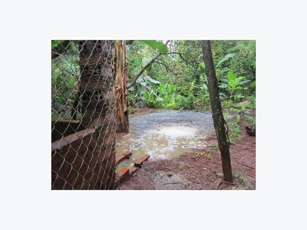 Chăn Nuôi Gia Súc Gia Cầm Các Hộ Nhỏ Lẻ
