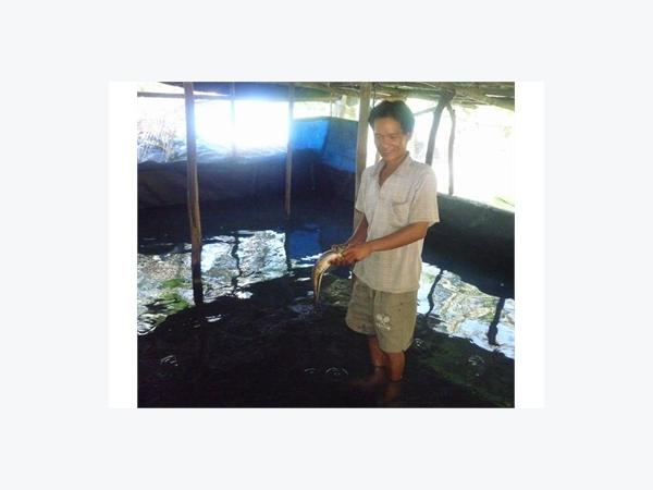 Làm Giàu Từ Chăn Nuôi Tổng Hợp