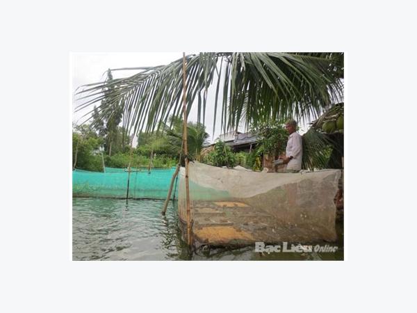 Thoát Nghèo Nhờ Nuôi Ếch Thái Trong Lồng