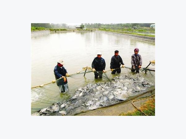 Lời Giải Cho Bài Toán Vốn Đối Ứng Của Ngư Dân